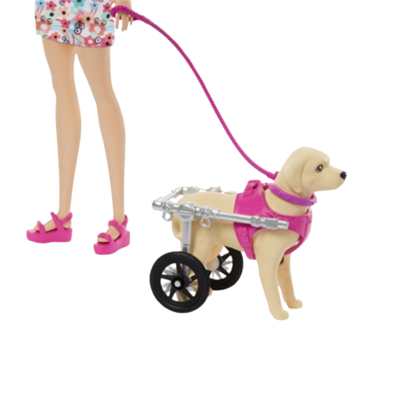 Barbie Doll With A Toy Pup And Dog in A Wheelchair HTK37 thumbnail
