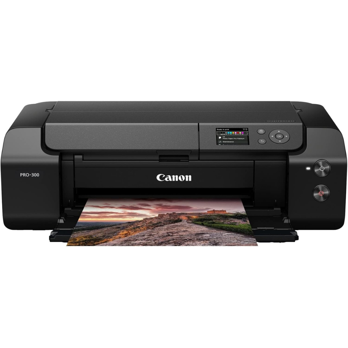 Canon imagePROGRAF PRO-310 Professional 13