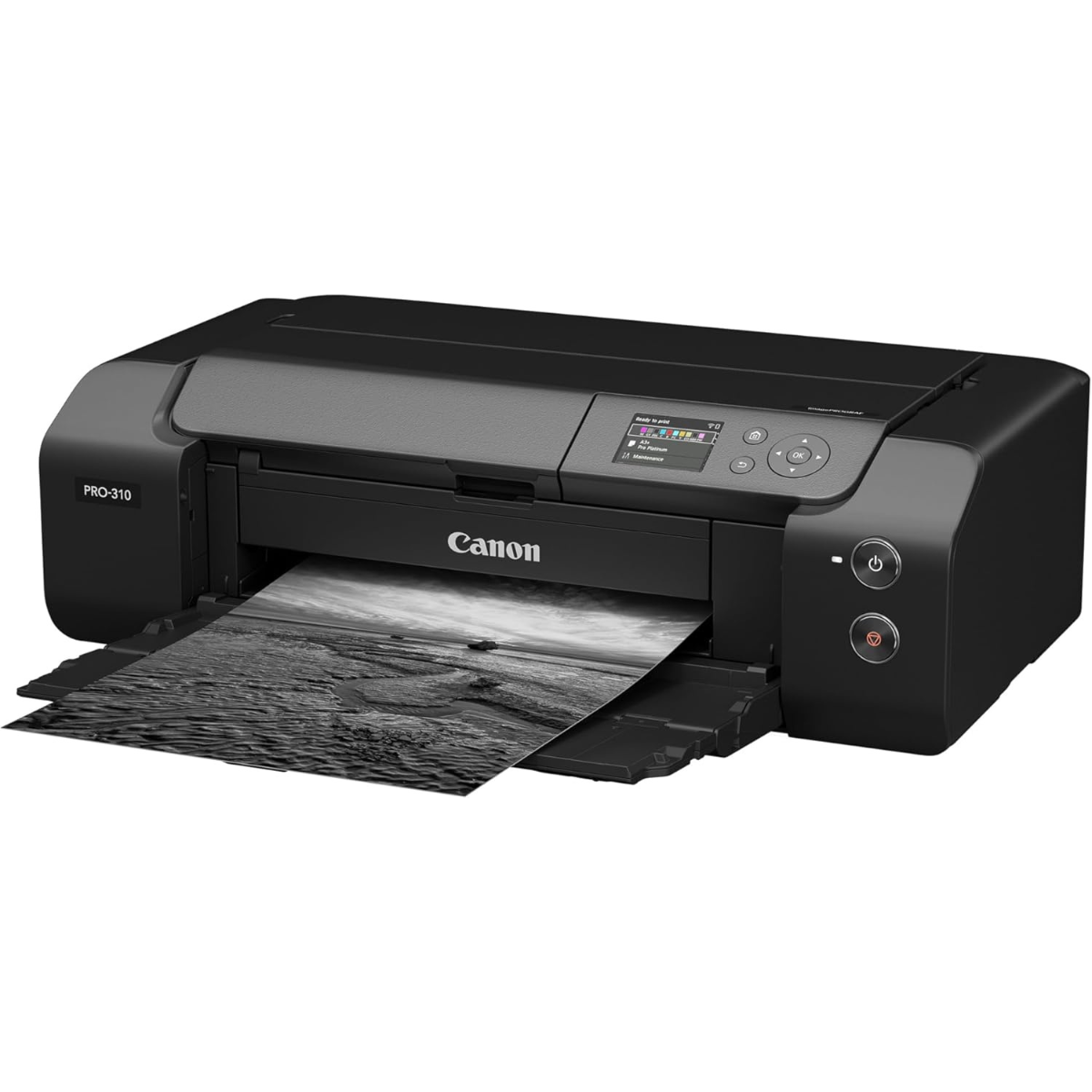 Canon imagePROGRAF PRO-310 Professional 13