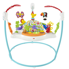 Fisher-Price Animal Activity Jumperoo With Music, Lights & Sounds Equipped with a variety of toys and interactive elements, it helps nurture your baby’s motor skills and cognitive abilities during play. FFJ00