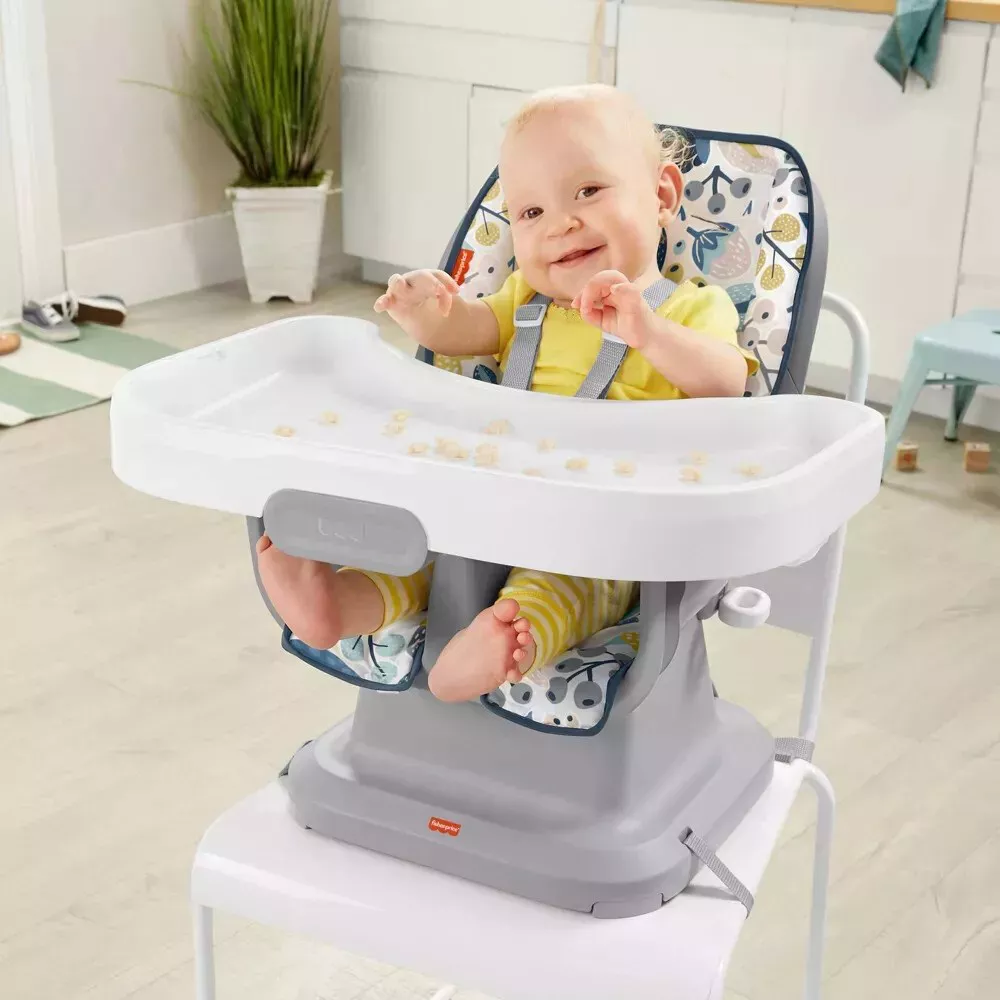 Fisher-Price SpaceSaver High Chair Berry Collection thumbnail